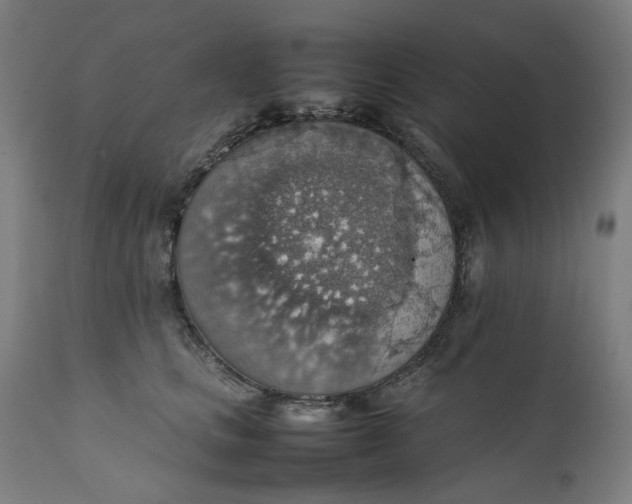 X0000111350661200907241159