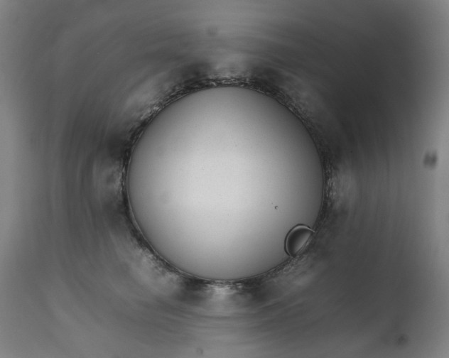 X0000111350662200907241159