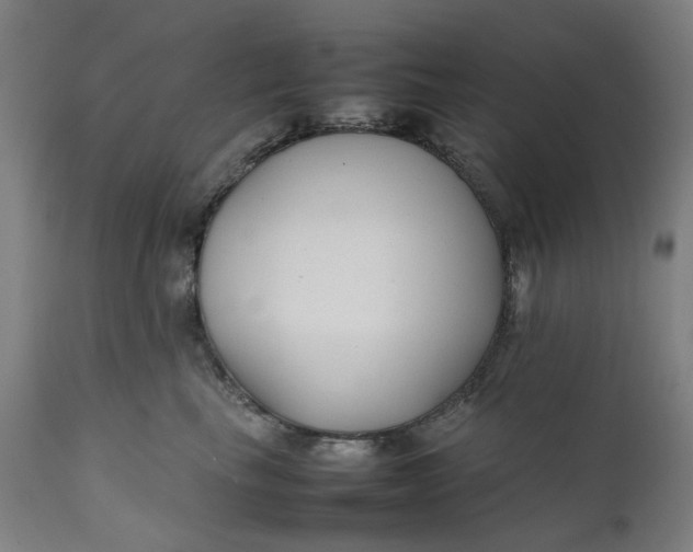 X0000111350665200907241159