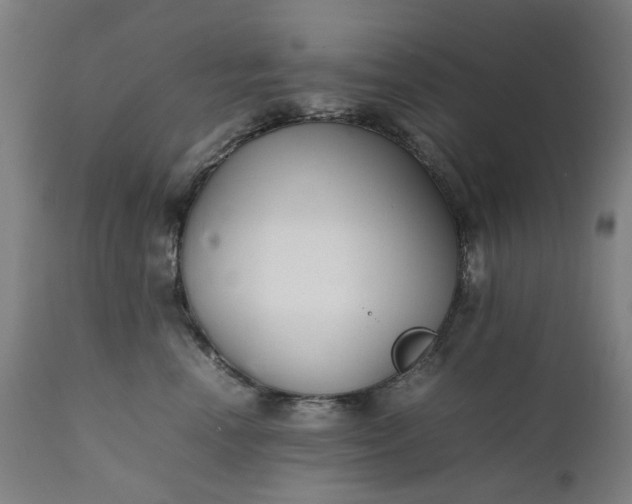 X0000111350666200907241159