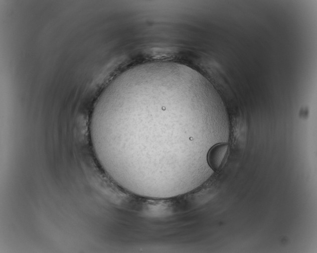 X0000111350667200907241159