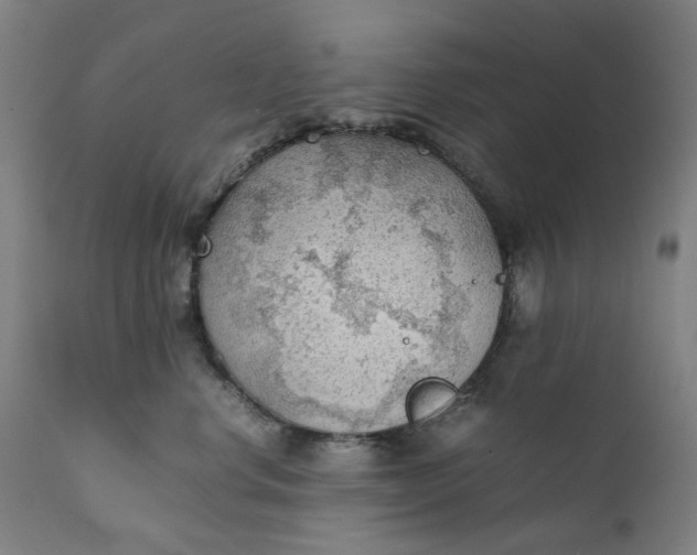 X0000111350668200907241200