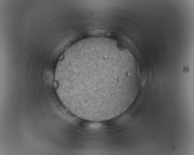 X0000111350669200907241200