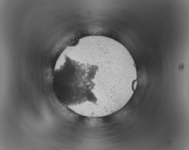 X0000111350670200907241200