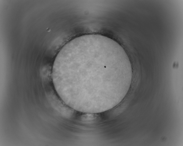 X0000111350672200907241200