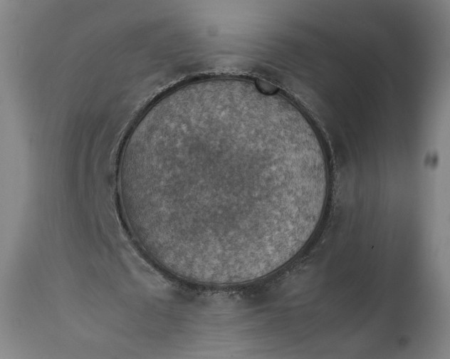 X0000111350673200907241159