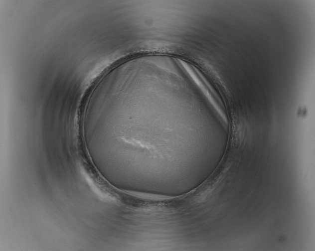 X0000111350674200907241159