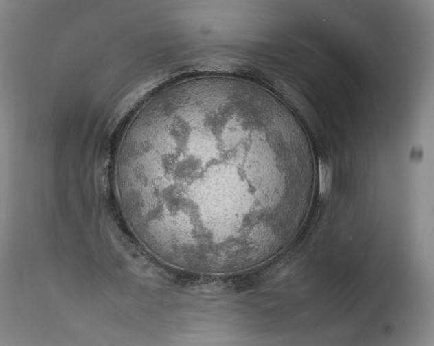 X0000111350675200907241159