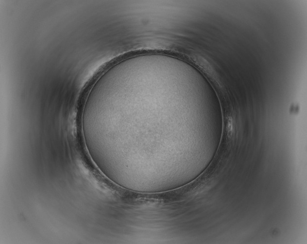 X0000111350676200907241159