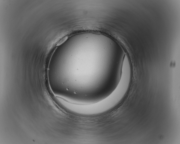 X0000111350677200907241159