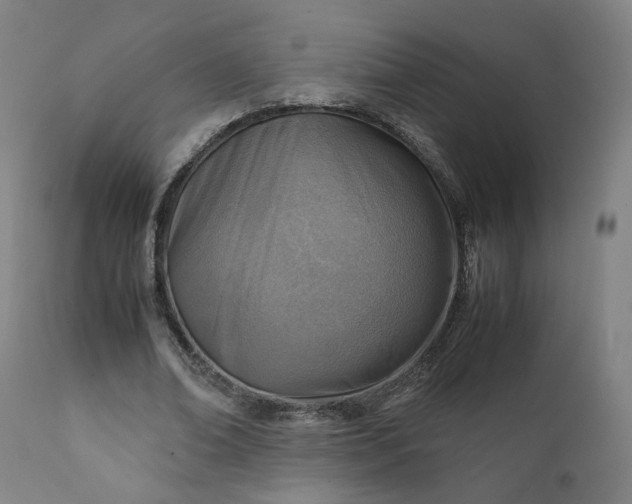 X0000111350678200907241159