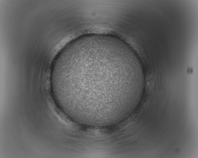 X0000111350679200907241159