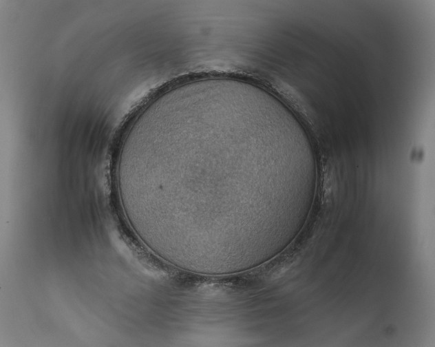 X0000111350680200907241159