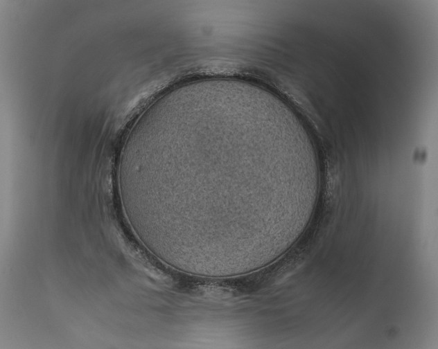 X0000111350681200907241159