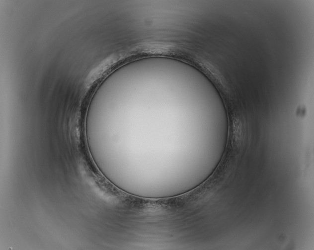 X0000111350682200907241159