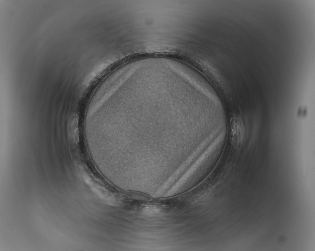 X0000111350684200907241159