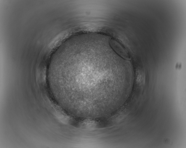 X0000111350685200907241159