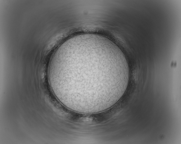 X0000111350687200907241159