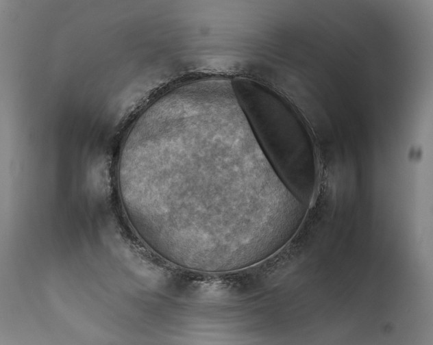 X0000111350688200907241159