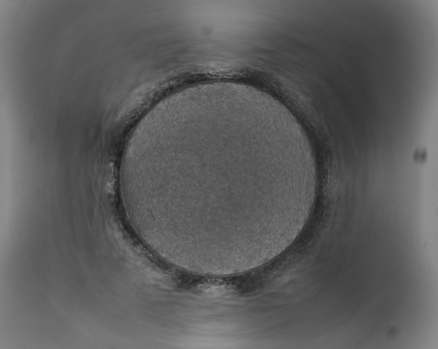 X0000111350689200907241159