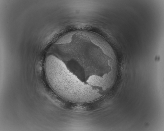 X0000111350691200907241158