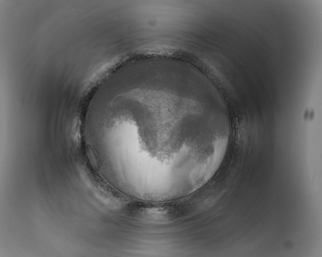 X0000111350692200907241158