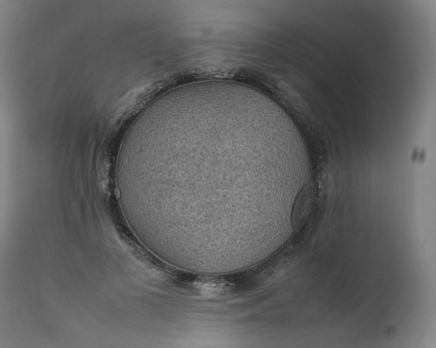 X0000111350693200907241158