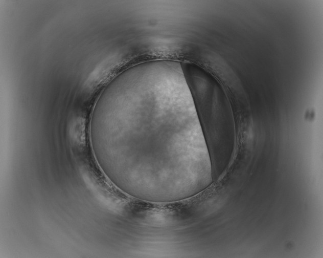 X0000111350696200907241158