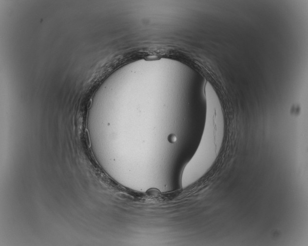 X0000111350697200907241158