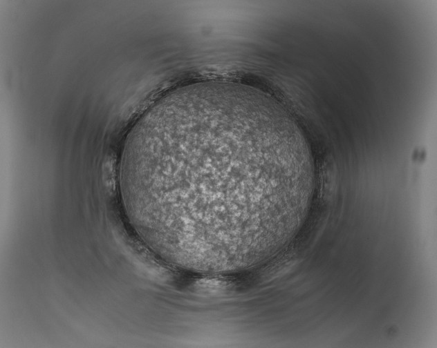 X0000111350699200907241158