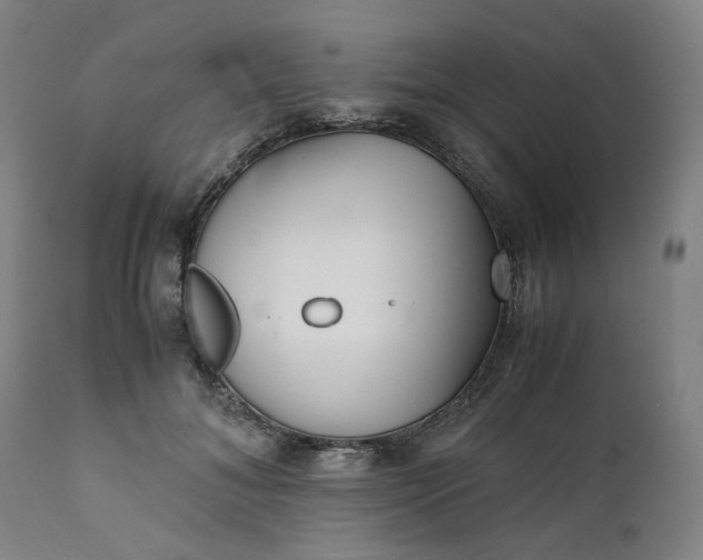 X0000111350700200907241158