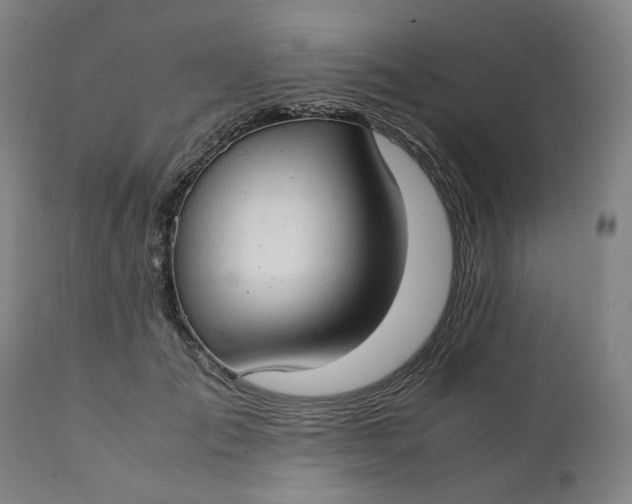 X0000111350701200907241158