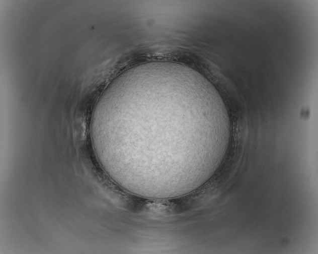 X0000111350703200907241158