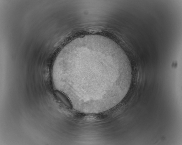 X0000111350704200907241158