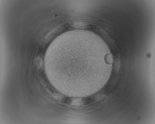 X0000111350705200907241158