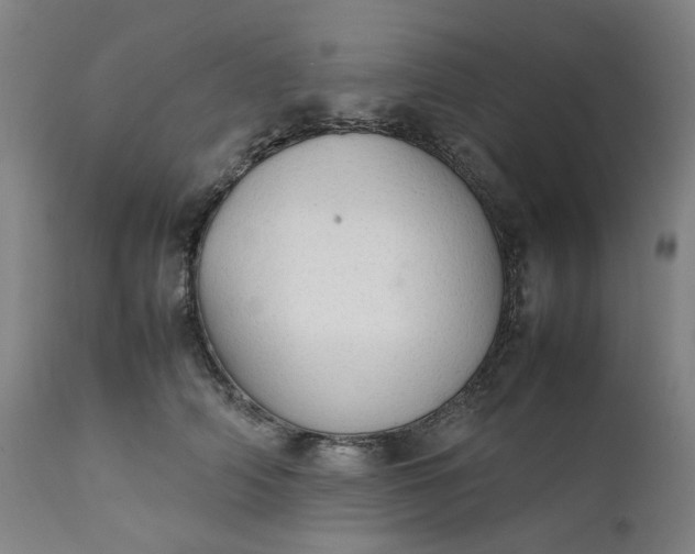 X0000111350706200907241158