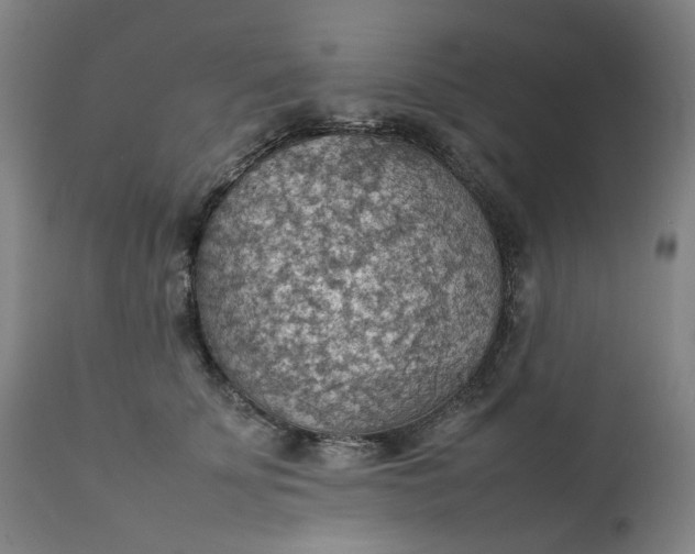 X0000111350707200907241158