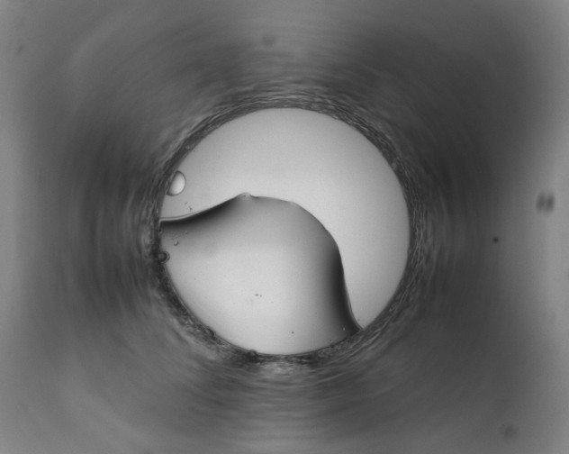 X0000111350708200907241158