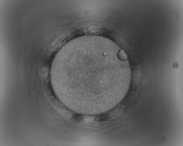 X0000111350709200907241158