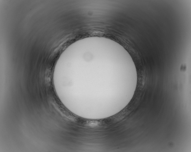 X0000111350710200907241158