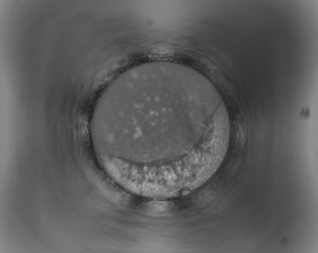 X0000111350711200907241158