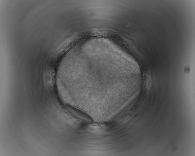 X0000111350712200907241158