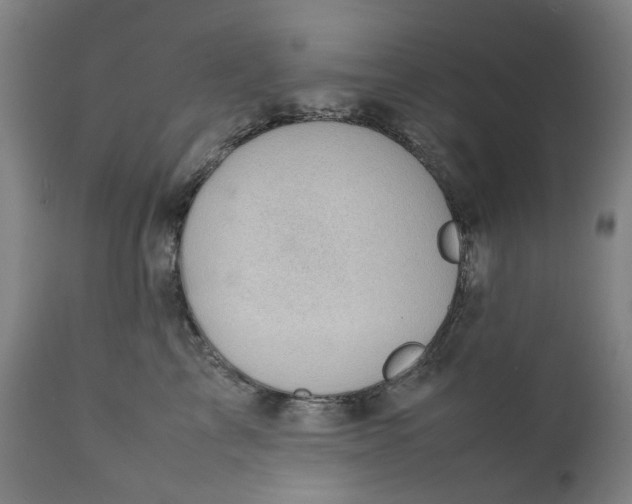 X0000111350713200907241158