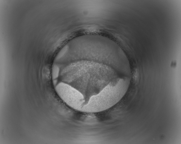 X0000111350715200907241158