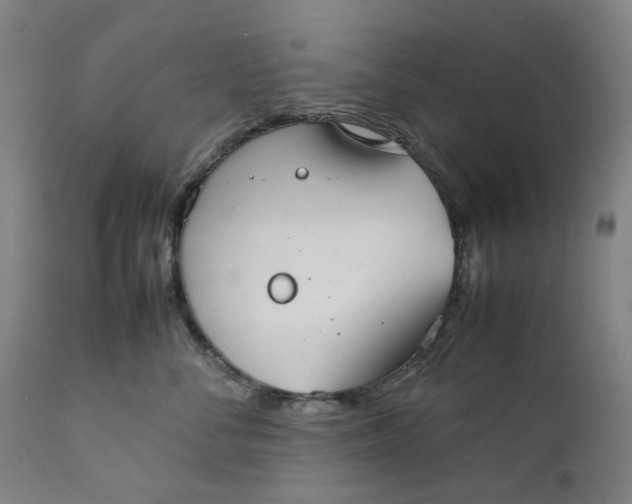 X0000111350716200907241158