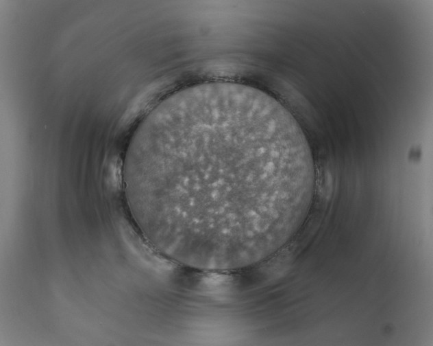 X0000111350718200907241158