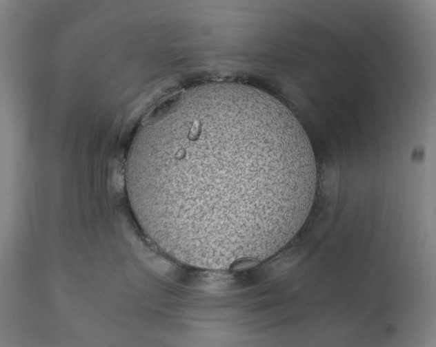 X0000111350719200907241158