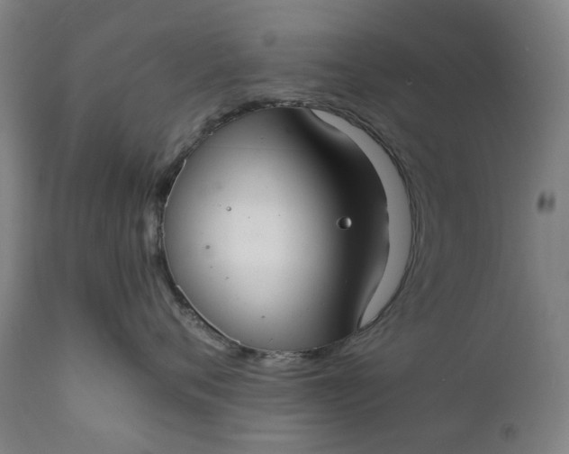 X0000111350720200907241158