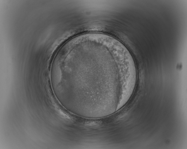 X0000111350721200907241157