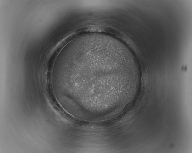 X0000111350722200907241157